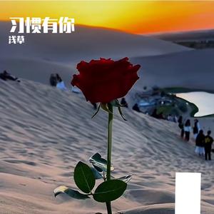 老公老公我爱你