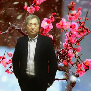 你是高高的白杨