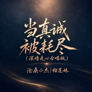 当真诚被耗尽(深情走心合唱版)