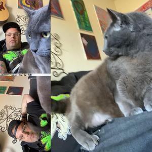 The applause is long over due...