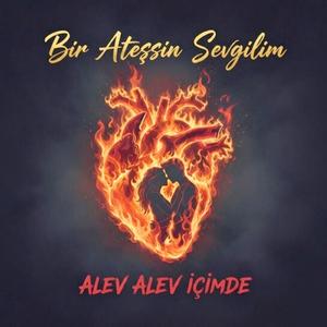 Seni Sevmek (Versiyon 2)