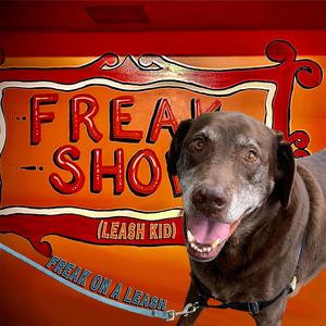 Leash Kid