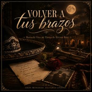 Volver a tus brazos