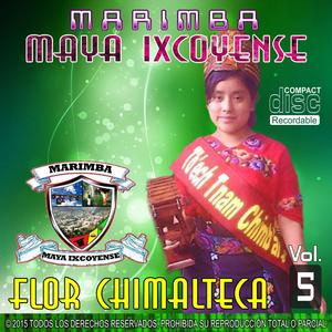 Te Llevare En Mi Corazon