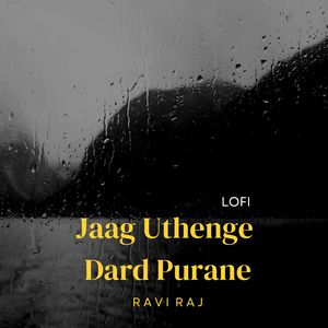 Jaag Uthenge Dard Purane LoFi