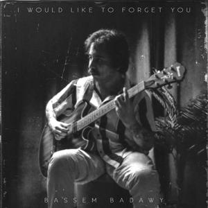 I Would Like To Forget You