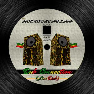 Dub Connection (feat. BlackVinylVibes) (Live Dub)