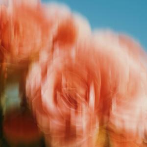 blooming