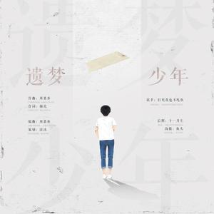 遗梦少年—记梦里的少年