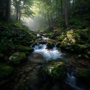 流水助眠（催眠曲）