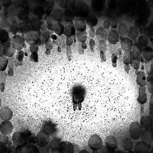 把感受放在第一位