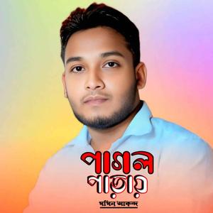 পাগল পাড়ায়
