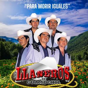 Para morir iguales-Los llaneros de guamuchil