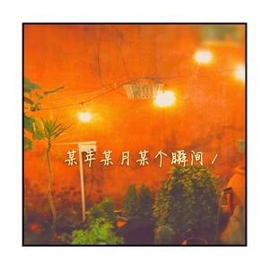 某年某月某个瞬间