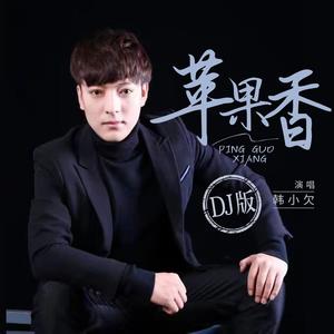 苹果香（妈妈的爱叫我永生不忘） (DJ沈念版)