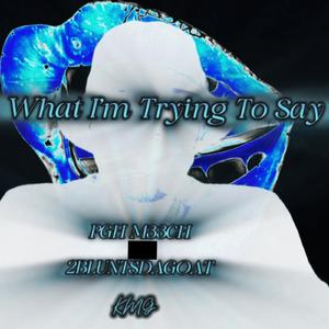 What I’m Trying To Say