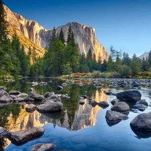 我的深情你若懂