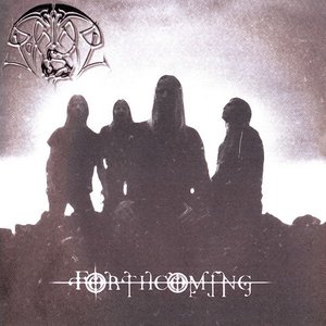 An Ensamble of Twelve