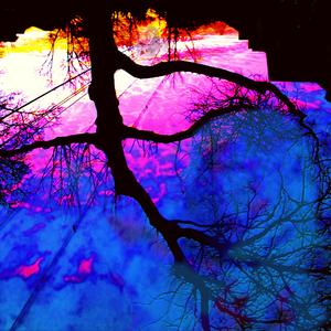 Compulsive Compliant