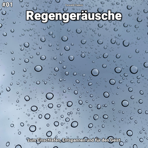 Regengeräusche, pt. 24