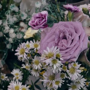 狐狸的童话翻唱