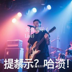 友情提示  (Live) (Cover 薛之谦)