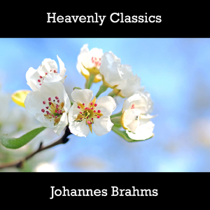 Johannes Brahms -  16 Waltzes, Op.39 - No.1 in B