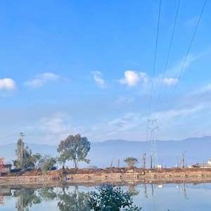 和你的每一个夏天