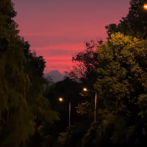 光只是看着不行动迟早有天会后悔的