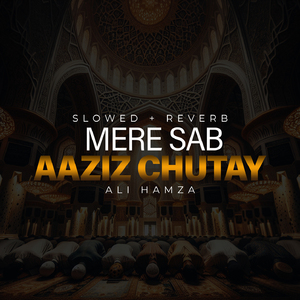 Mere Sab Aaziz Chutay Lofi