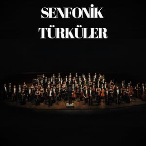 Ardahan'ın Yollarında