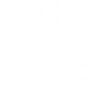 CLEAN(Prod.by Yoken )