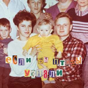 если бы птицы узнали