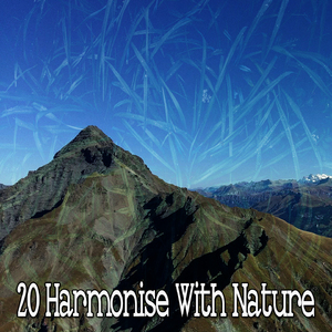 大自然的和平禮物