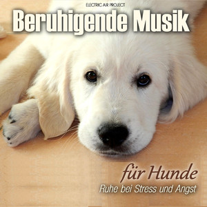 Sonnenland - Warme beruhigende Klänge für Hunde