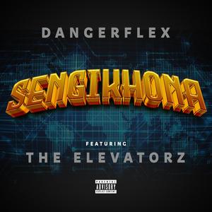 Sengikhona(gqom) (feat. The Elevatorz)