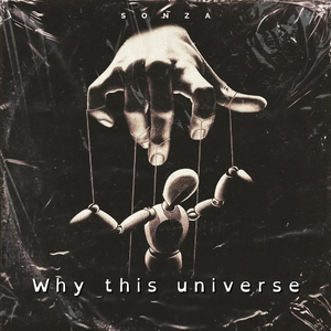 Why This Universe