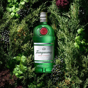 Pede Gin