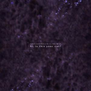 hi, is this your cat?