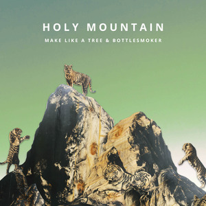 Holy Mountain (Remix)