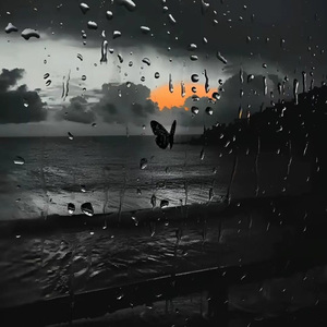 未完成的雨