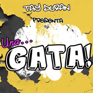Una Gata