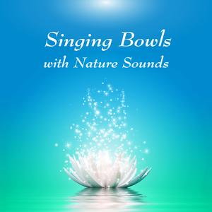 ASMR西藏颂钵: 思索 (流水)