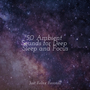 Enchantment's Revelation