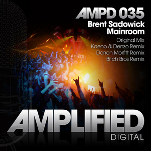 Mainroom (***** Bros Remix)