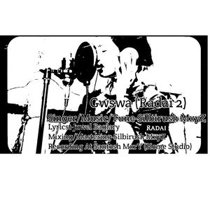 Radai 2 Gwswa