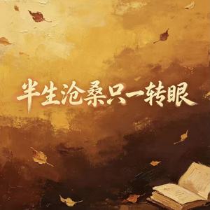 半生沧桑只一转眼