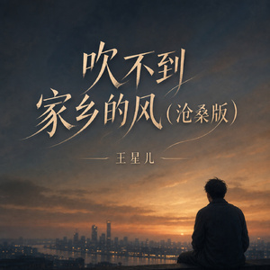 吹不到家乡的风(沧桑版)