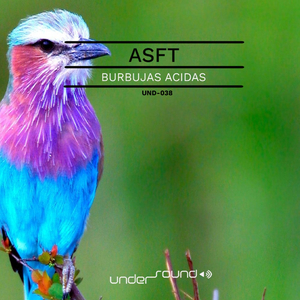 Carretilla (Original Mix)