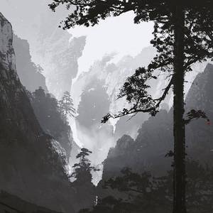 惊鸿一面